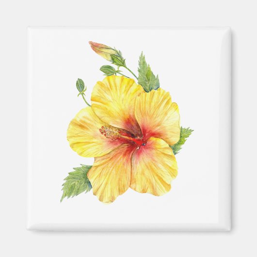 Gele Hibiscus Botanische Kunst Magneet (Voorkant)