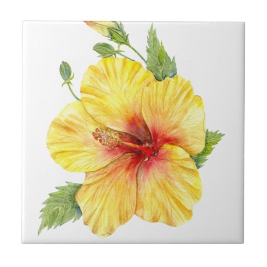 Gele Hibiscus Botanische Kunst Tegeltje (Voorkant)