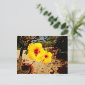 Gele Hibiscus briefkaart (Staand voorkant)