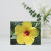 Gele Hibiscus Briefkaart (Staand voorkant)