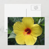 Gele Hibiscus Briefkaart (Voorkant / Achterkant)