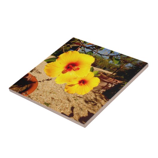 Gele Hibiscus Ceramic Tile Tegeltje (Zijkant)