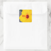 Gele Hibiscus Close-up Vierkante Sticker (Tas)