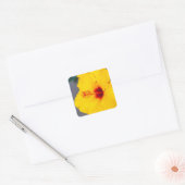 Gele Hibiscus Close-up Vierkante Sticker (Envelop)