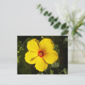 Gele Hibiscus Flower Briefkaart (Staand voorkant)