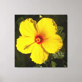 Gele Hibiscus Flower Canvas Afdruk