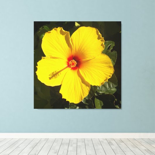 Gele Hibiscus Flower Canvas Afdruk (Insitu (Houten vloer))