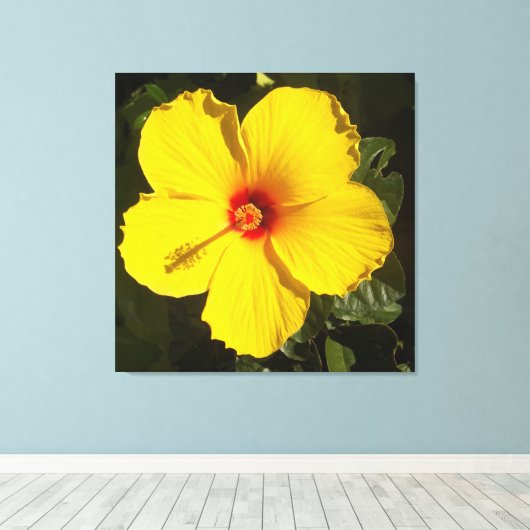 Gele Hibiscus Flower Canvas Afdruk (Insitu (Houten vloer))