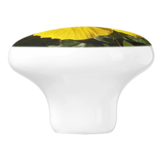 Gele Hibiscus Flower Ceramic Knob Keramische Knop (Zijkant)