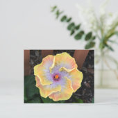 Gele Hibiscus Flower Fotografisch Botanisch Briefkaart (Staand voorkant)