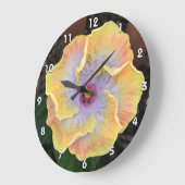 Gele Hibiscus Flower Fotografisch Botanisch Grote Klok (Hoek)