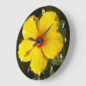 Gele Hibiscus Flower Grote Klok (Hoek)