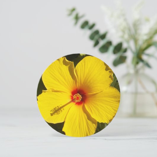 Gele Hibiscus Flower Kaart (Staand voorkant)
