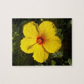 Gele Hibiscus Flower Legpuzzel (Horizontaal)