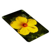 Gele Hibiscus Flower Magneet (Rechterzijde)