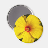 Gele Hibiscus Flower Magneet (Voorkant / Achterkant)