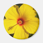Gele Hibiscus Flower Magneet (Voorkant)