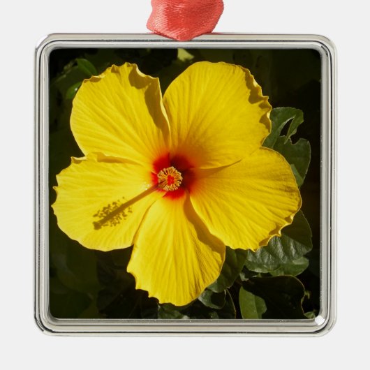 Gele Hibiscus Flower Metalen Ornament (Voorkant)