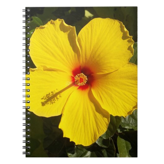 Gele Hibiscus Flower Notitieboek (Voorkant)