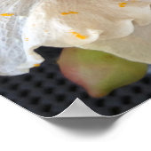 Gele Hibiscus Flower Poster (Hoek)