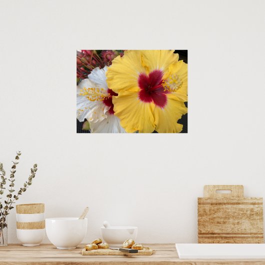 Gele Hibiscus Flower Poster (Keuken)