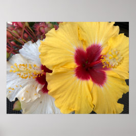 Gele Hibiscus Flower Poster
