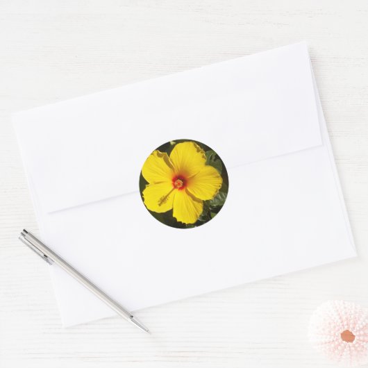 Gele Hibiscus Flower Ronde Sticker (Envelop)