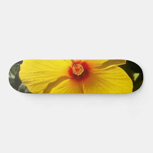 Gele Hibiscus Flower Skateboard (Horizontaal)
