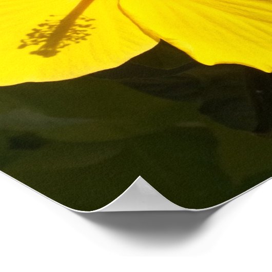 Gele Hibiscus Flower Small Poster (Hoek)