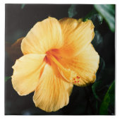Gele Hibiscus Flower Tile Tegeltje (Voorkant)