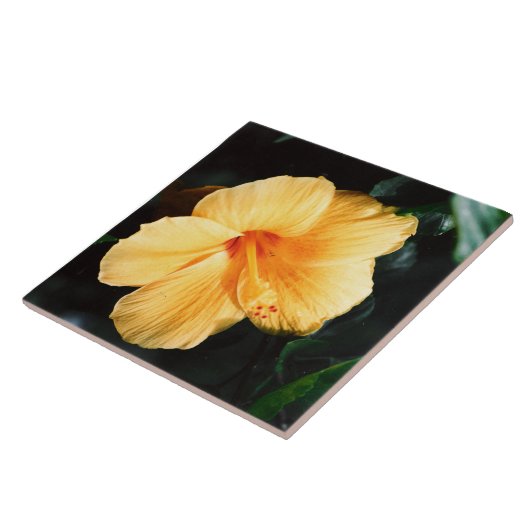 Gele Hibiscus Flower Tile Tegeltje (Zijkant)