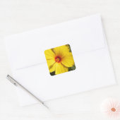 Gele Hibiscus Flower Vierkante Sticker (Envelop)