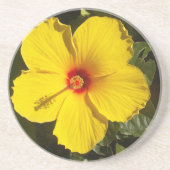 Gele Hibiscus Flower Zandsteen Onderzetter (Voorkant)