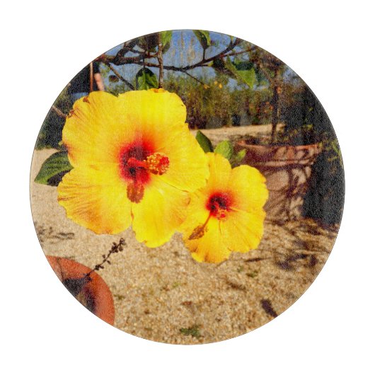Gele Hibiscus Glas Snijplank (Voorkant)