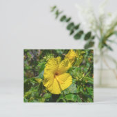 Gele Hibiscus Hawaii State Flower Briefkaart (Staand voorkant)