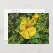 Gele Hibiscus Hawaii State Flower Briefkaart (Voorkant / Achterkant)