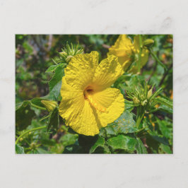 Gele Hibiscus Hawaii State Flower Briefkaart