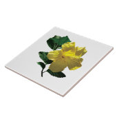 Gele Hibiscus in Sunshine Tegeltje (Zijkant)