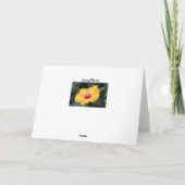 Gele hibiscus kaart (Achterkant)