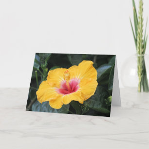 Gele hibiscus kaart