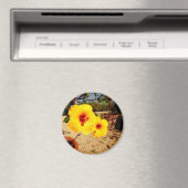 Gele Hibiscus Magnet (Insitu (Vaatwasser))