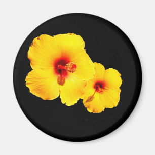 Gele Hibiscus Magnet