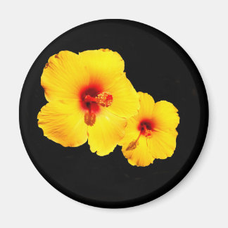 Gele Hibiscus Magnet