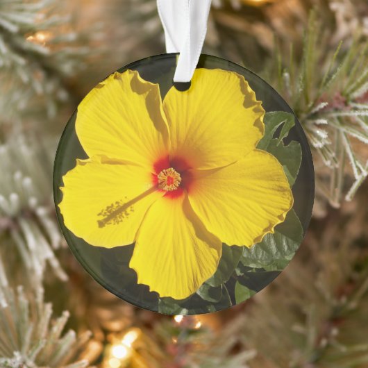 Gele Hibiscus Mele Kalikimaka Tropische Bloem Ornament (Boom)