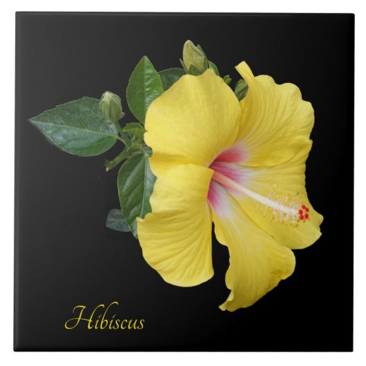  gele hibiscus op zwart tegeltje (Voorkant)