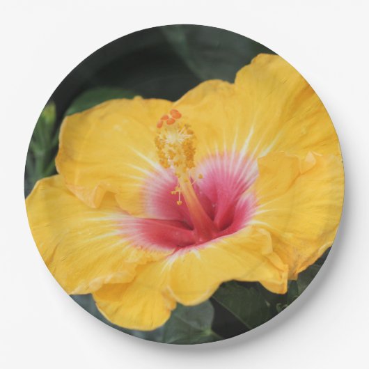 Gele hibiscus papieren bordje (Voorkant)