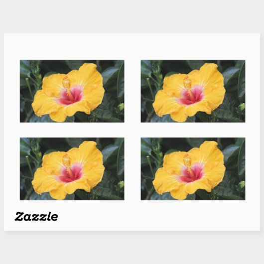 Gele hibiscus rechthoekige sticker (Vel)