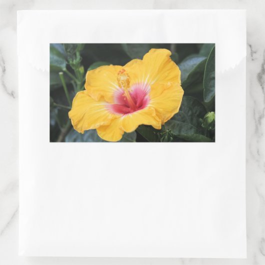 Gele hibiscus rechthoekige sticker (Tas)