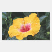 Gele hibiscus rechthoekige sticker (Voorkant)