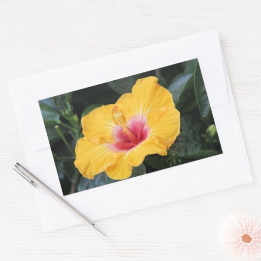 Gele hibiscus rechthoekige sticker (Envelop)